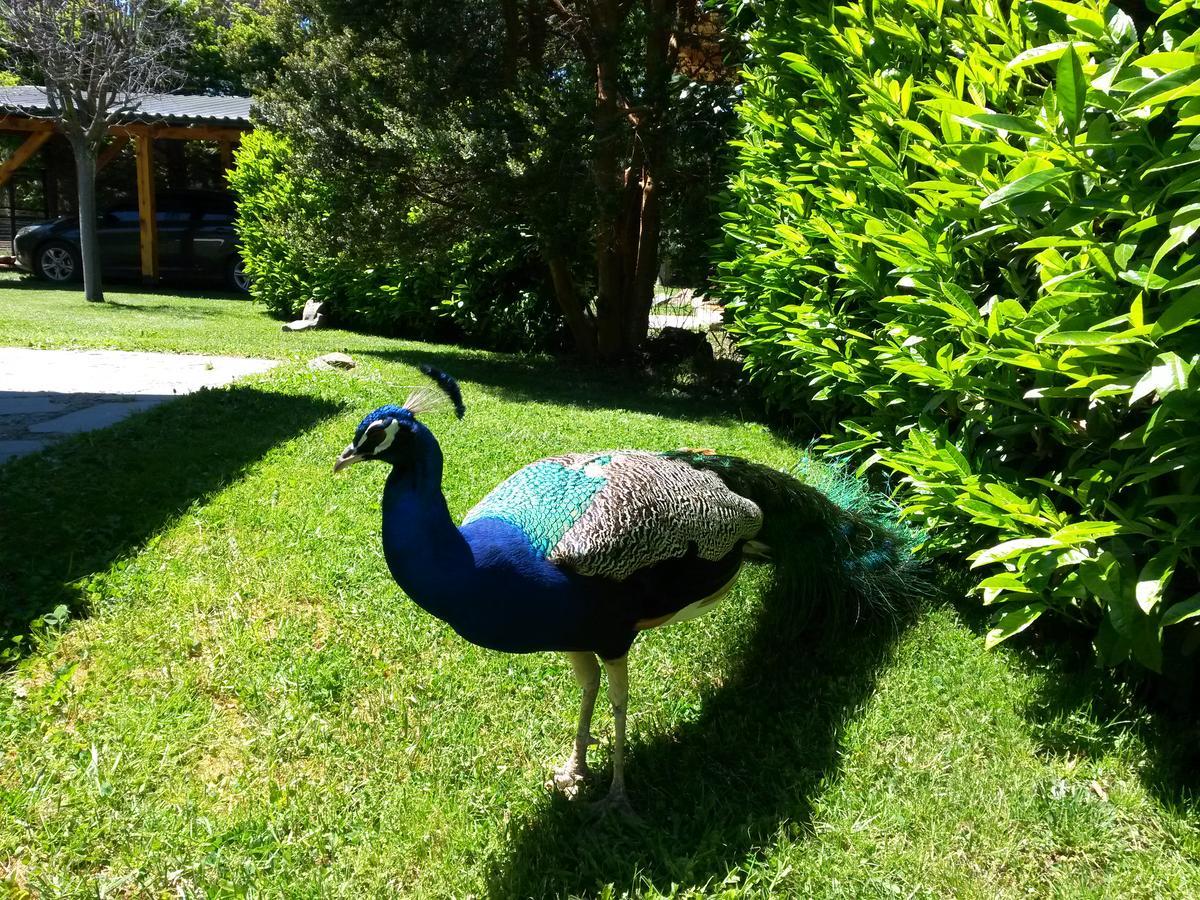 El Aguila Aparthotel San Carlos de Bariloche Ngoại thất bức ảnh